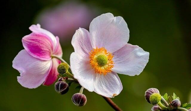 US Aligns with Argentina, Malta, Italy, Sweden, Portugal in Making Travel Memorable with Breathtaking and Spectacular Cruise Ports, Attracting US and Canada Tourists, New Update is Here – Travel And Tour World