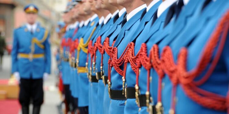 SIGNED: Illini officially announce addition of Serbian guard Mihailo Petrovic – 247Sports