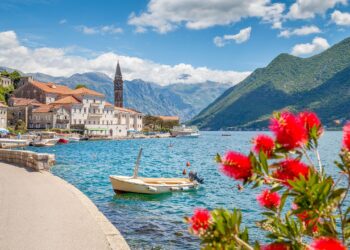 Montenegro’s Lovcen Osiguranje H1 net profit up 26% y/y – SeeNews