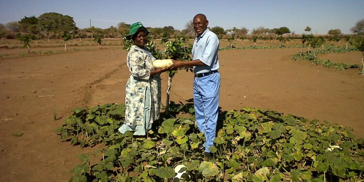 Zimbabwe’s farming fallout 25 years on: Deal or no deal? – BBC