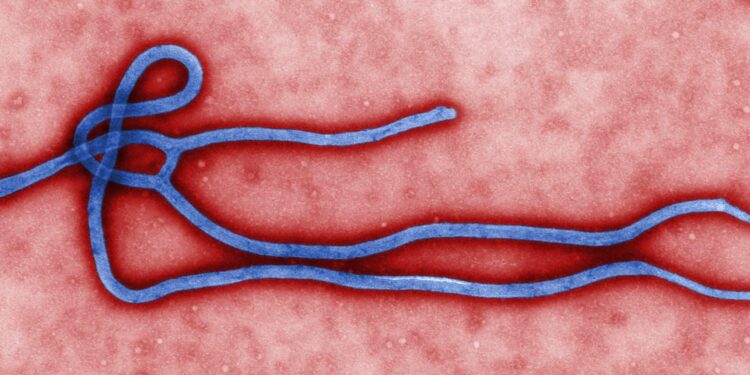 WHO says 6 contacts of Ugandan Ebola patient are ill, vaccination efforts could begin Sunday – statnews.com