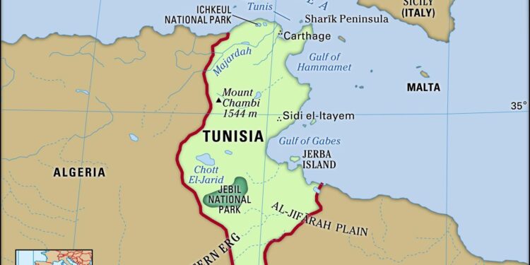 Tunisia sentences ex-President Marzouki to 22 years in absentia – Reuters