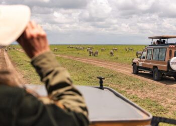 Tanzania and Uganda: Time for a Little Less Carrot and More Stick? – Royal United Services Institute