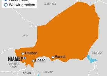 Niger commission recommends 5-year transition to democratic rule – Reuters