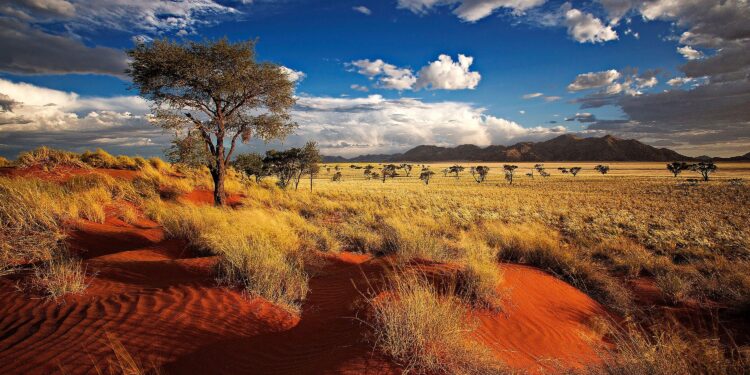 Namibia honours victims of colonial genocide as reparation calls grow – Reuters