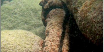 Damage to subsea cable disrupts Internet connectivity in Orkney and Shetland Islands – Data Center Dynamics