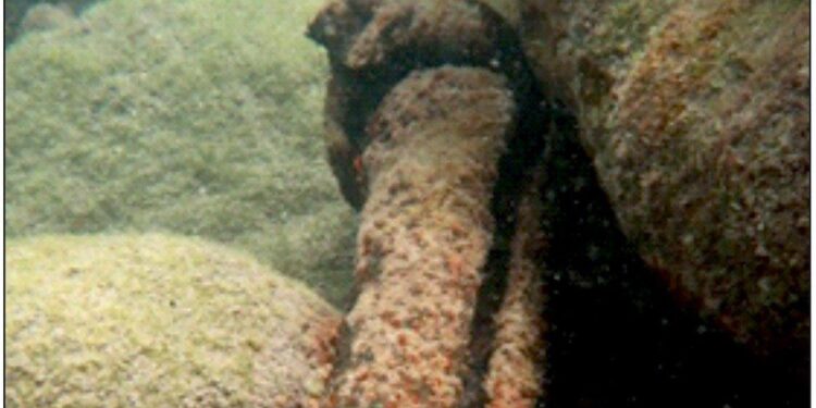 Damage to subsea cable disrupts Internet connectivity in Orkney and Shetland Islands – Data Center Dynamics