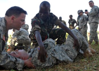 News – Malawi Exercise Supports U.S.-African Partnerships – DVIDS