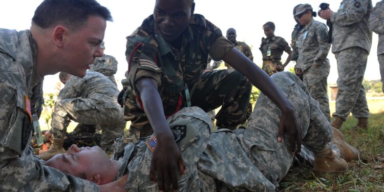 News – Malawi Exercise Supports U.S.-African Partnerships – DVIDS