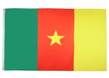 Cameroon’s constitutional council bars main opposition candidate from presidential race – AP News