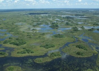 The Okavango Delta Is Africa’s Hidden Eden: My 33 Photos With Facts Prove Why – AOL.com