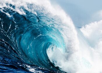 Tsunami waves from Kamchatka earthquake reach US West Coast; Papua New Guinea under alert – The Economic Times