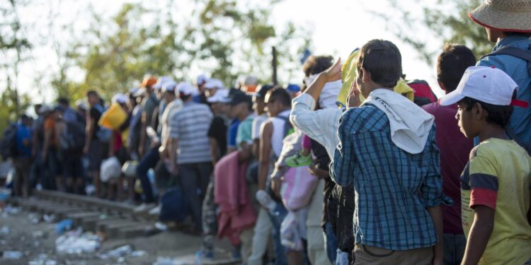 People seeking asylum on Nauru contract Dengue fever amid severe outbreak – Asylum Seeker Resource Centre