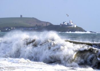 Storm Floris: Belfast residents evacuated after tree falls on house – Belfast Live