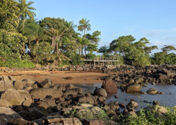 Sierra Leone Rallies From Last, Outbattles Highland Falls In Star-Studded Whitney – Paulick Report