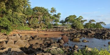 Sierra Leone Rallies From Last, Outbattles Highland Falls In Star-Studded Whitney – Paulick Report