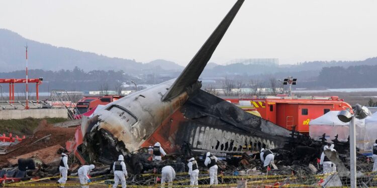 Plane Crash Kills Six, Including Two Inside a House – Newsweek