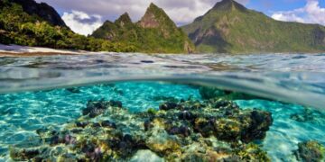 American Samoa fisheries representative backs opening of marine monument to commercial fishing – Undercurrent News