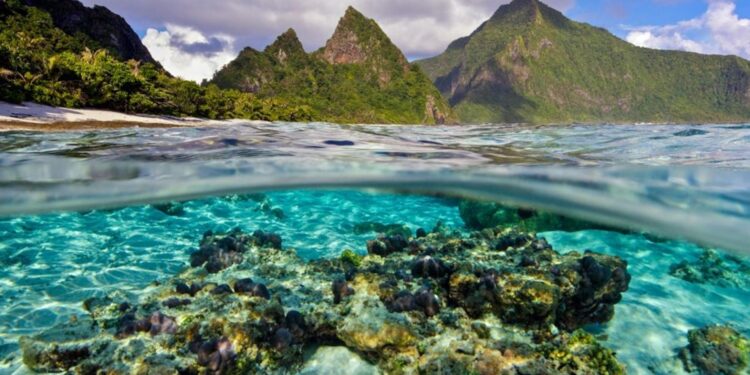 American Samoa fisheries representative backs opening of marine monument to commercial fishing – Undercurrent News