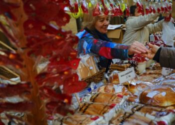 Spain’s economy is the envy of Europe, but the plight of its strawberry pickers tells another story – The Guardian