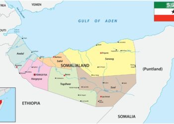 Somaliland: A Partner for an America First Africa Approach – America First Policy Institute
