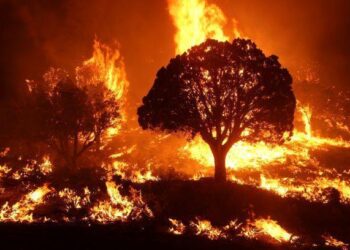 Europe Battles Deadly Wildfires as High Winds Fuel Flames – The New York Times