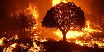 Europe Battles Deadly Wildfires as High Winds Fuel Flames – The New York Times