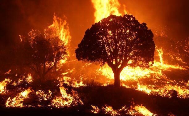 Europe Battles Deadly Wildfires as High Winds Fuel Flames – The New York Times