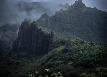 2024 Oceania Photo Contest: New Zealand Winners – The Nature Conservancy