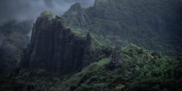 2024 Oceania Photo Contest: New Zealand Winners – The Nature Conservancy