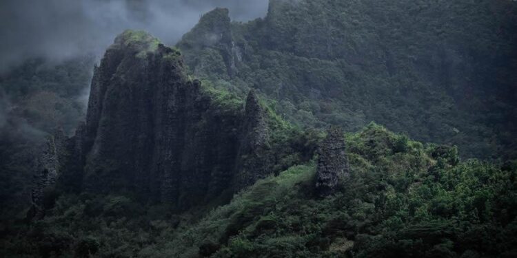 2024 Oceania Photo Contest: New Zealand Winners – The Nature Conservancy