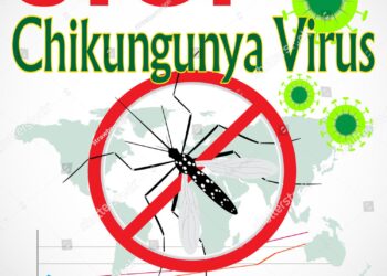 Quick takes: WHO chikungunya warning, mpox in Gambia, more H5N1 in California dairy cows – CIDRAP