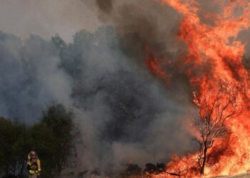 Spain, Portugal, and Greece battle wildfires as heat wave is expected to last for days – Toronto Star