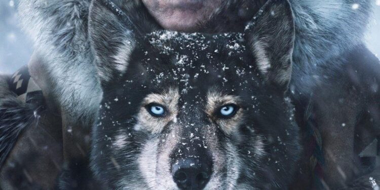 Togo: Gnassingbe dynasty faces youth-led protests – DW