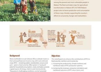 Transforming Malawi’s Agricultural Landscape Through Food Safety – NC State University