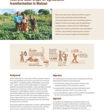 Transforming Malawi’s Agricultural Landscape Through Food Safety – NC State University