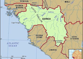 Guinea vs Algeria LIVE streaming info, CHAN 2024: Where to watch Africa Nations Championship match? – Sportstar