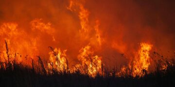 Wildfires rage in Spain and Portugal as heatwave continues – BBC