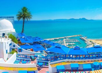 Tunisia court sentences lawyer critical of president to two years in prison – Al Jazeera