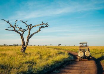 Tanzania: Torture and forcible deportation of Kenyan and Ugandan activists must be urgently investigated – Amnesty International