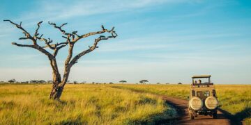 Tanzania: Torture and forcible deportation of Kenyan and Ugandan activists must be urgently investigated – Amnesty International