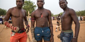 Nigerians imported $518m vehicles from US – Report – Punch Newspapers