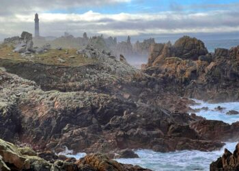 I saw the best of unspoilt France on a €1 train ticket – The Independent