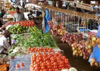 Malawi Economic Monitor: Navigating Uncertainty – World Bank