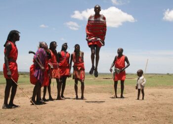 Kenya, Tanzania trade barbs online following CHAN 2024 exit – The Eastleigh Voice