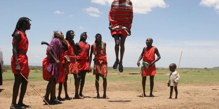 Kenya, Tanzania trade barbs online following CHAN 2024 exit – The Eastleigh Voice