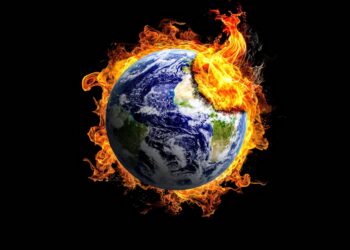 Global warming lets Croatian farmer grow tropical fruit – DW