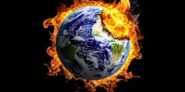 Global warming lets Croatian farmer grow tropical fruit – DW