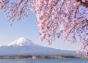 Japan- Equatorial Guinea Summit Meeting (Summary) (Diplomatic Relations) – Prime Minister’s Office of Japan