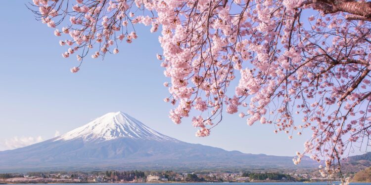 Japan- Equatorial Guinea Summit Meeting (Summary) (Diplomatic Relations) – Prime Minister’s Office of Japan